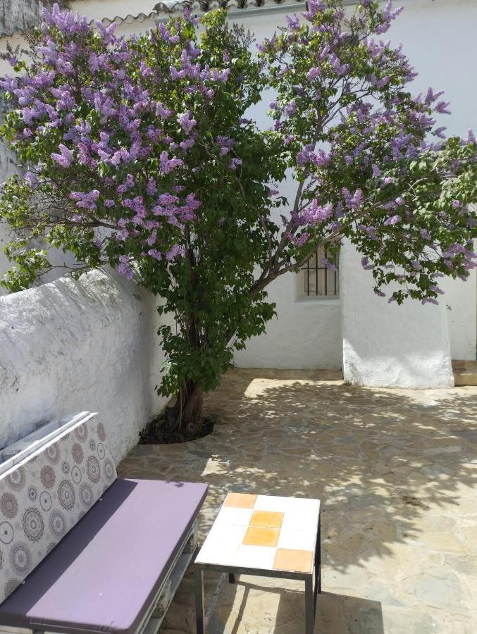 Villa Casa Bejar, Tranquila Casa Con Chimenea, Patios, Junto A La Piscina Canete la Real Exterior foto